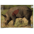 PREGAME 16.5IN X 24IN BOAR TARGET - 3 SHEETS