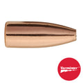 BULLET 30 CAL 110 GR HP 100/BX