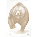 ACTION TGT AK STATE PARK BEAR 100PK