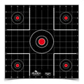B/C DIRTY BIRD SIGHT IN TGT 12-12