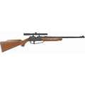 DAISY POWERLINE 880 W/ SCOPE RFL
