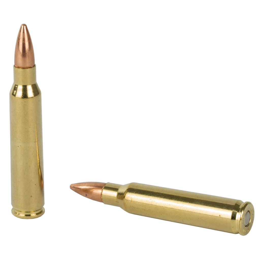 FIOCCHI 223REM 62GR FMJBT 50/1000
