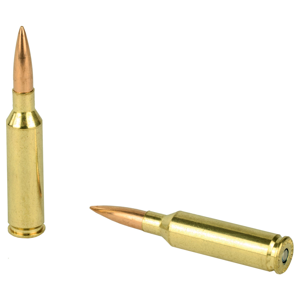 FED GOLD MDL 6MM CM 107GR SMK 20/200