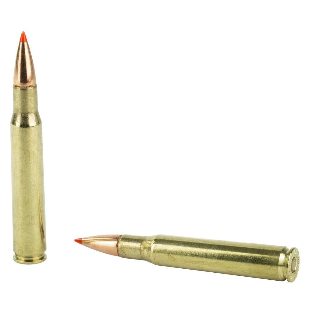 HRNDY SF 30-06 165GR SST 20/200