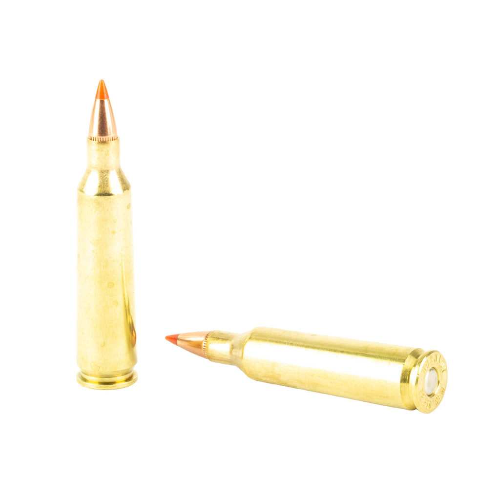 HRNDY 22-250  55GR VMAX 20/200