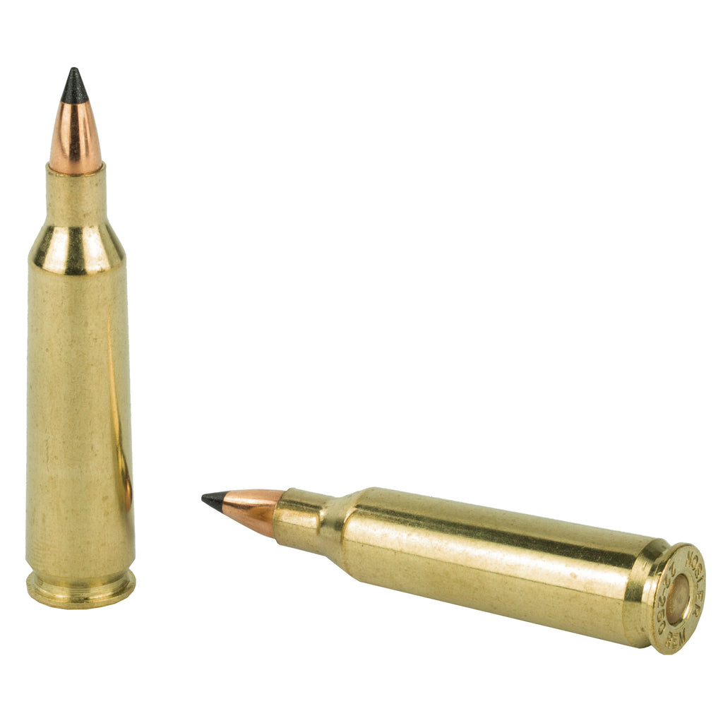 NOSLER VG 22-250 55GR FB TIP 20/200