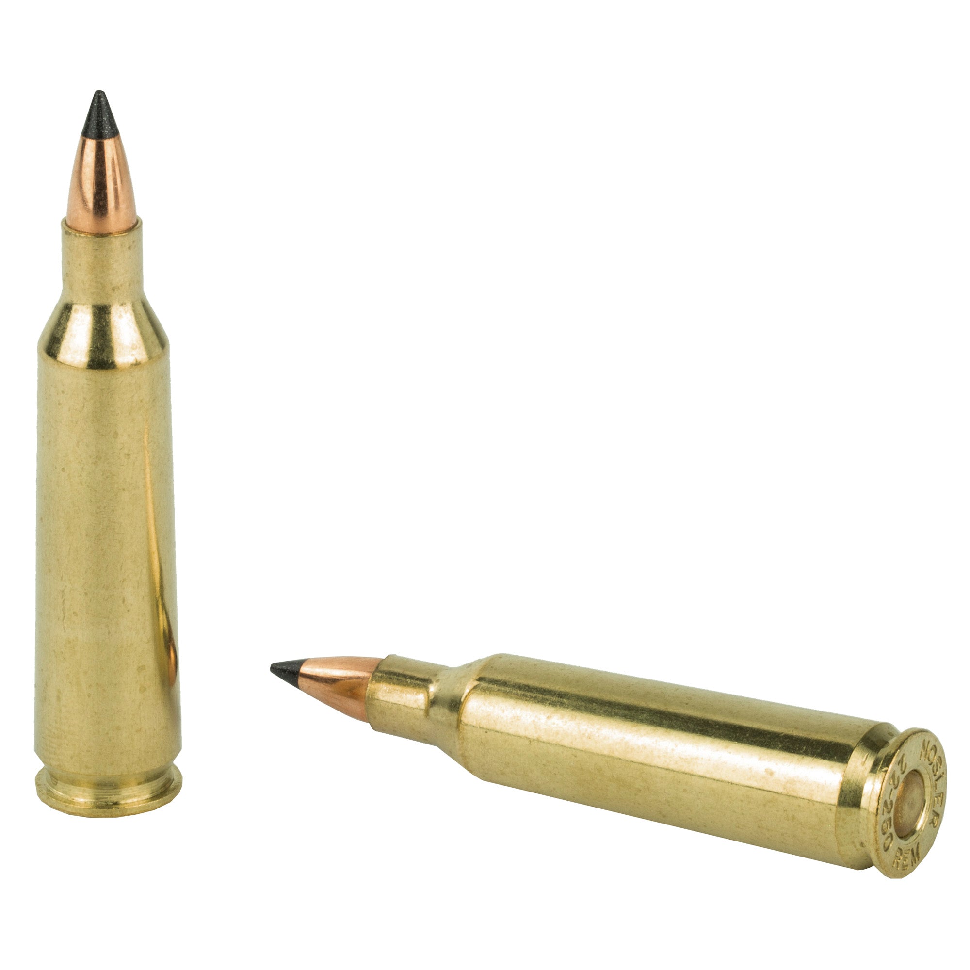 NOSLER VG 22-250 55GR FB TIP 20/200