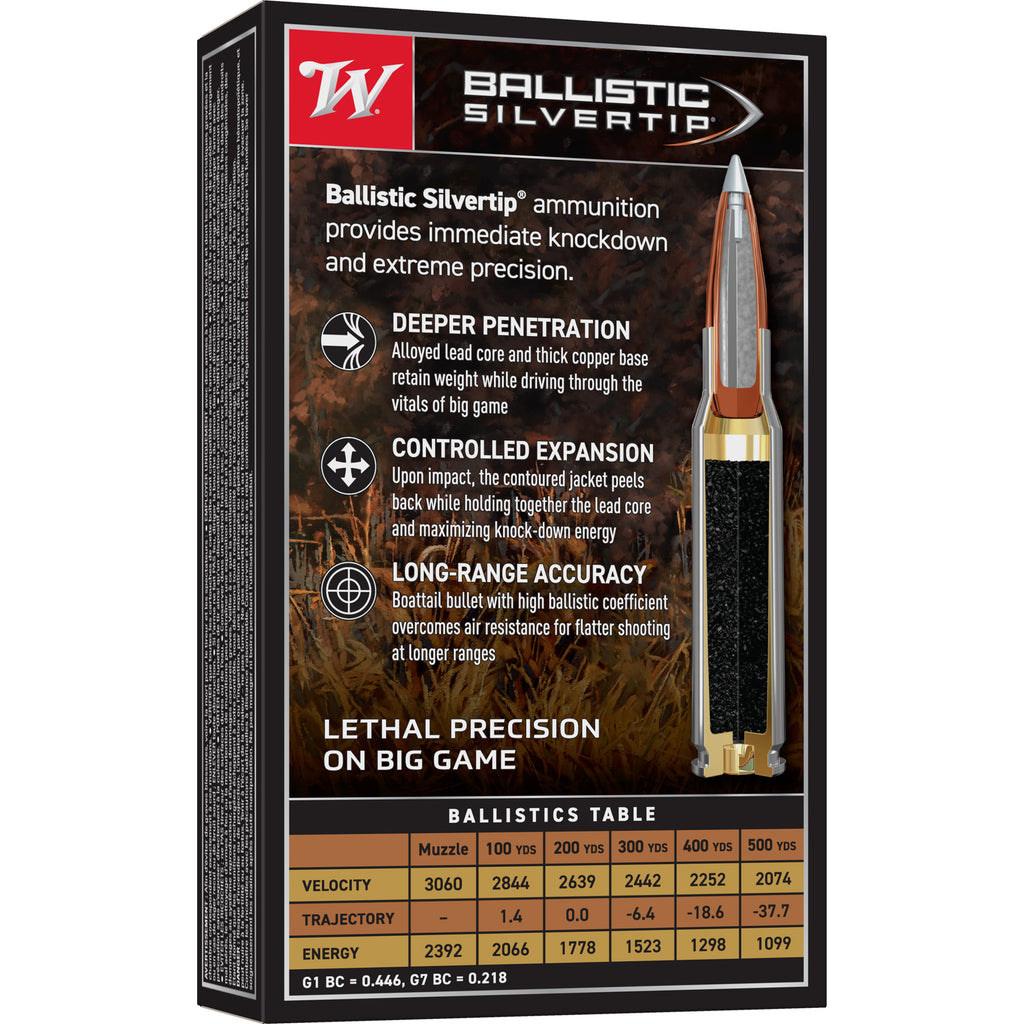 WIN BLSTC TIP 2506RM 115GR 20/200