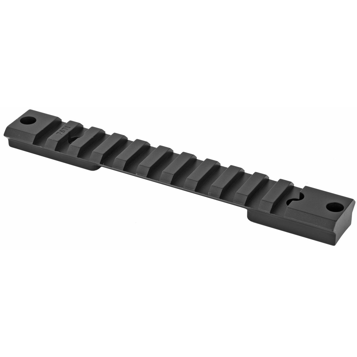 WARNE MT TACT REM/BERGARA SA RAIL