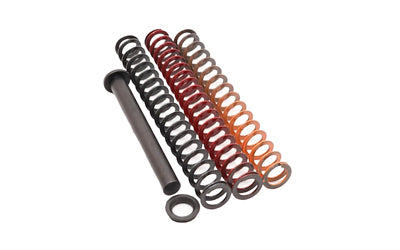 TRUE PREC RECOIL SPRNG KIT P365 3.1