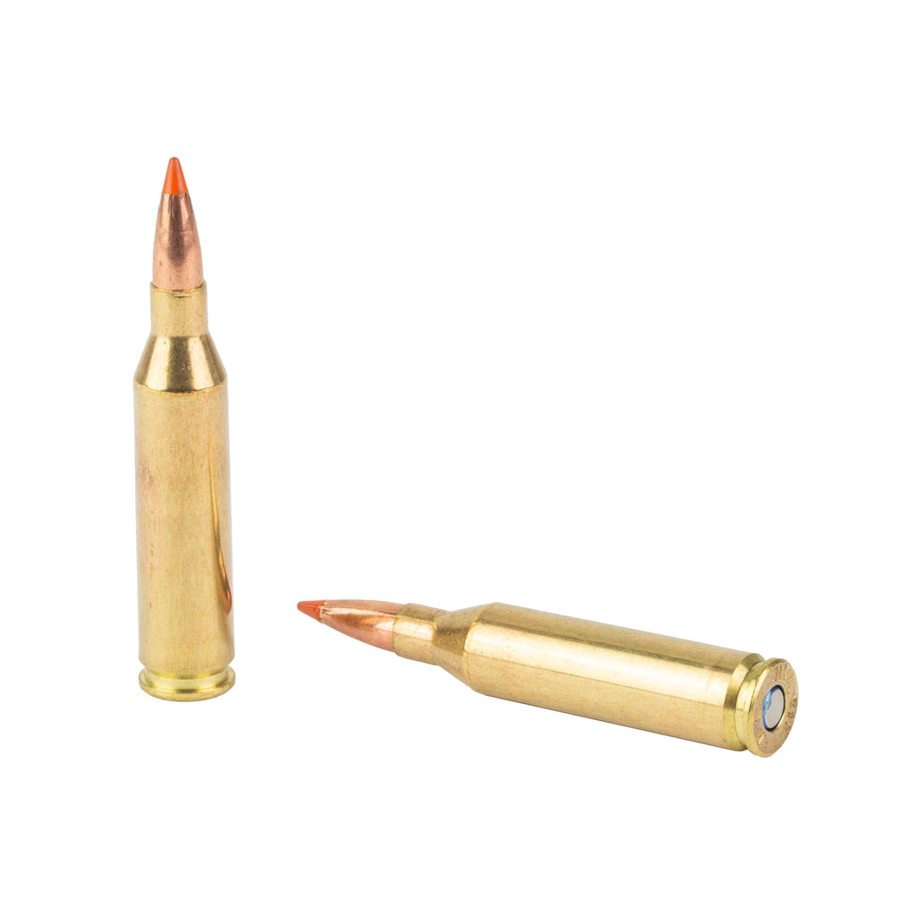 FED FUSION 243WIN 95GR FSP 20/200