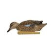 Avian-X Topflight Blue Wing Teal Decoys 6/ct