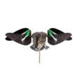 Avian-X Powerflight Replacement Wings Teal WINGS ONLY