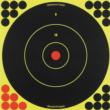 Birchwood Casey Shoot-N-C Bull 12" Bull's-Eye Paper Targets 5/ct