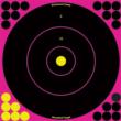 Birchwood Casey Shoot-N-C Pink Reactive Targets 12" 5/ct