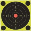 Birchwood Casey Shoot-N-C International Target
