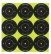 Birchwood Casey Shoot-N-C Targets 2" Targets 10/ct