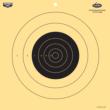 Birchwood Casey Dirty Bird 12" 25 Yard Pistol Reactive Target 12/ct