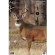 Birchwood Casey Pregame Targets Deer 16.5"x24" 3/ct