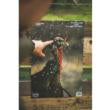 Birchwood Casey Pregame Turkey Paper Targets 12"x18" 8/ct