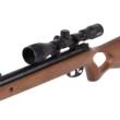 DIANA Two-Fifty Air Rifle .22 Cal 4.5mm - 24 Joule Gas Spring Scoped Combo