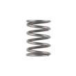 Dead Air Piston Spring for Ghost Odessa and Mojave 9