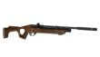 Hatsan Flash Wood QE 22 Caliber 1120fpsTurkish Walnut Stock
