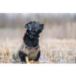 Rig'Em Right Bloodline Elite Dog Vest Optifade Timber M