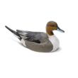 Rig'Em Right Mainline Series Pintail Duck Decoy 6/ct