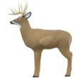Shooter 3D Targets Big Shooter Buck Decoy