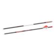 Bloodsport Punisher Arrow 350 Spine 6/pk