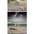 Stealth Cam Wildview 14 Infrared Flash Trail Camera