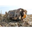Higdon Outdoors MOmarsh Field House LP - Optifade Marsh