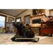 Higdon Outdoors MOmarsh Kennel Cot - Large