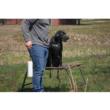 MOmarsh Mark Dog Training Bumper Medium White