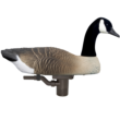 Higdon Motion Battleship Swimmer PRO Canada Goose