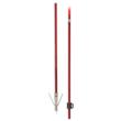 Cajun Bowfishing Wasp Arrow with Piranha Point XT