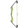 Bear Archery Traditional Youth Bow Apprentice RH Green