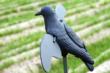 MOJO Motion Decoy Crow Decoy