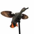 MOJO Elite Series Spinning Wing Decoy - Gadwall