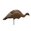 MOJO Feeder / Breeder Hen Turkey Decoy