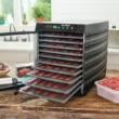 LEM MightyBite 10-Tray Plastic Dehydrator
