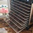 LEM BigBite 10-Tray Stainless Steel Dehydrator
