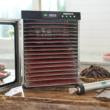LEM BigBite 16-Tray Stainless Steel Dehydrator
