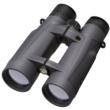 Leupold BX-5 Santiam HD 15x56mm Binocular Shadow Grey