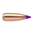 Nosler Ballistic Tip Varmint Bullets 6mm .243" 55 gr SBT-SB 250/ct