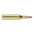 Nosler Ballistic Tip Varmint Rifle Ammunition .243 Win 70gr PT 3500 fps 20/ct