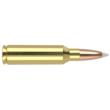 Nosler Accubond Trophy Grade Rifle Ammunition .300 WSM 180 gr PT 2950 fps 20/ct