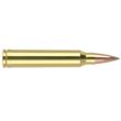 Nosler Accubond Long Range Trophy Grade Rifle Ammunition 300 Win Mag 190 gr PT 2870 fps 20/ct