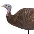 Primos Lil Gobstopper Hen Decoy